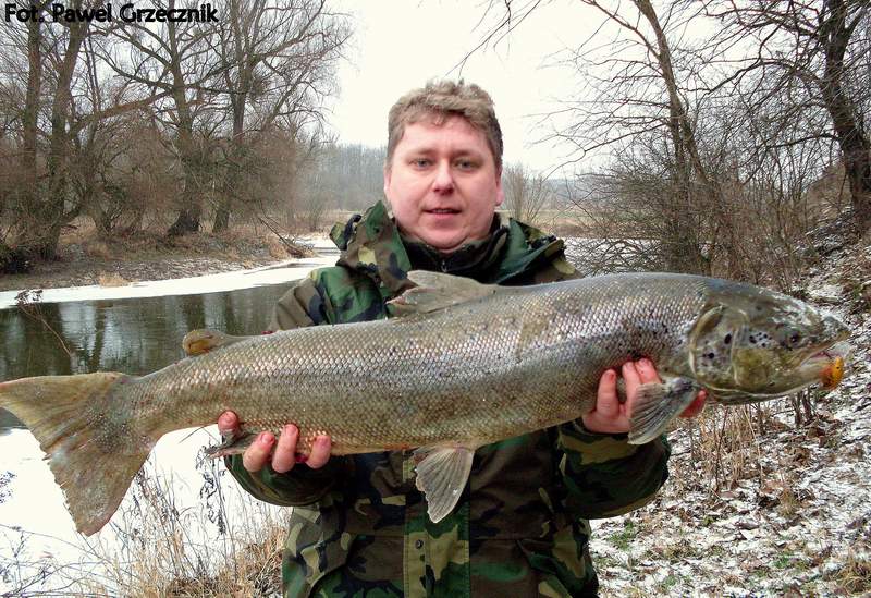 95cm01012010r[1].jpg
