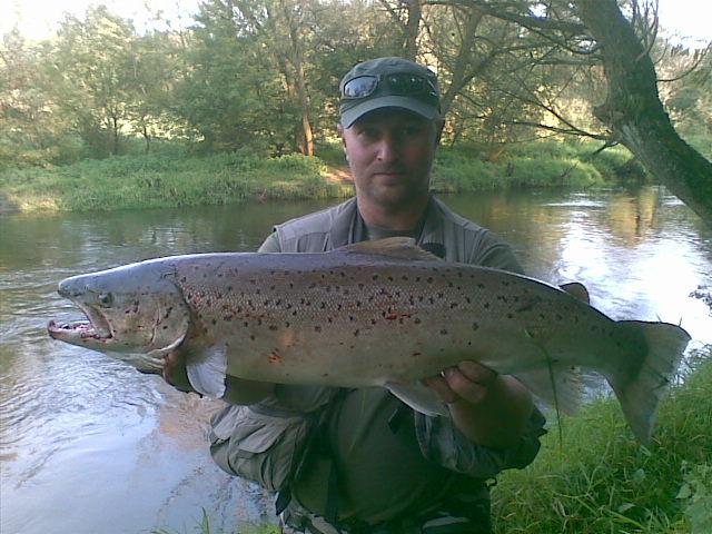23092010_002_.jpg