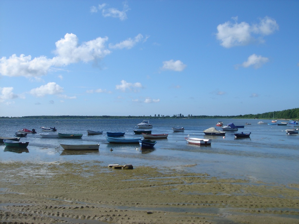DSC07225.JPG