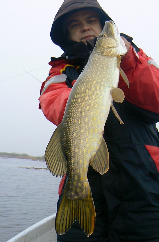 szczupak Damiana.JPG