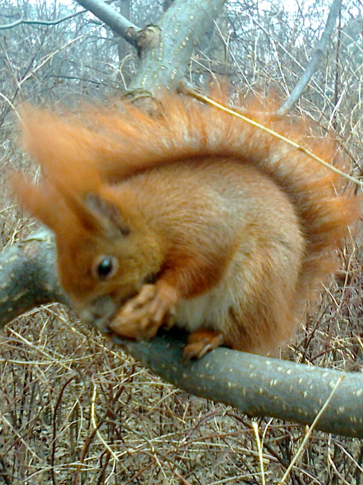 Zdjęcie0009.jpg