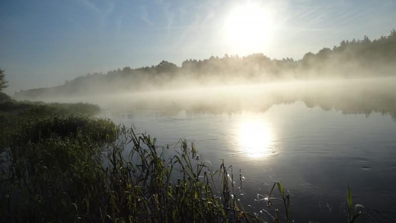 DSC02375_zmniejszacz-pl_358309.jpg