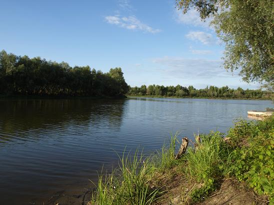P6263245mini.JPG