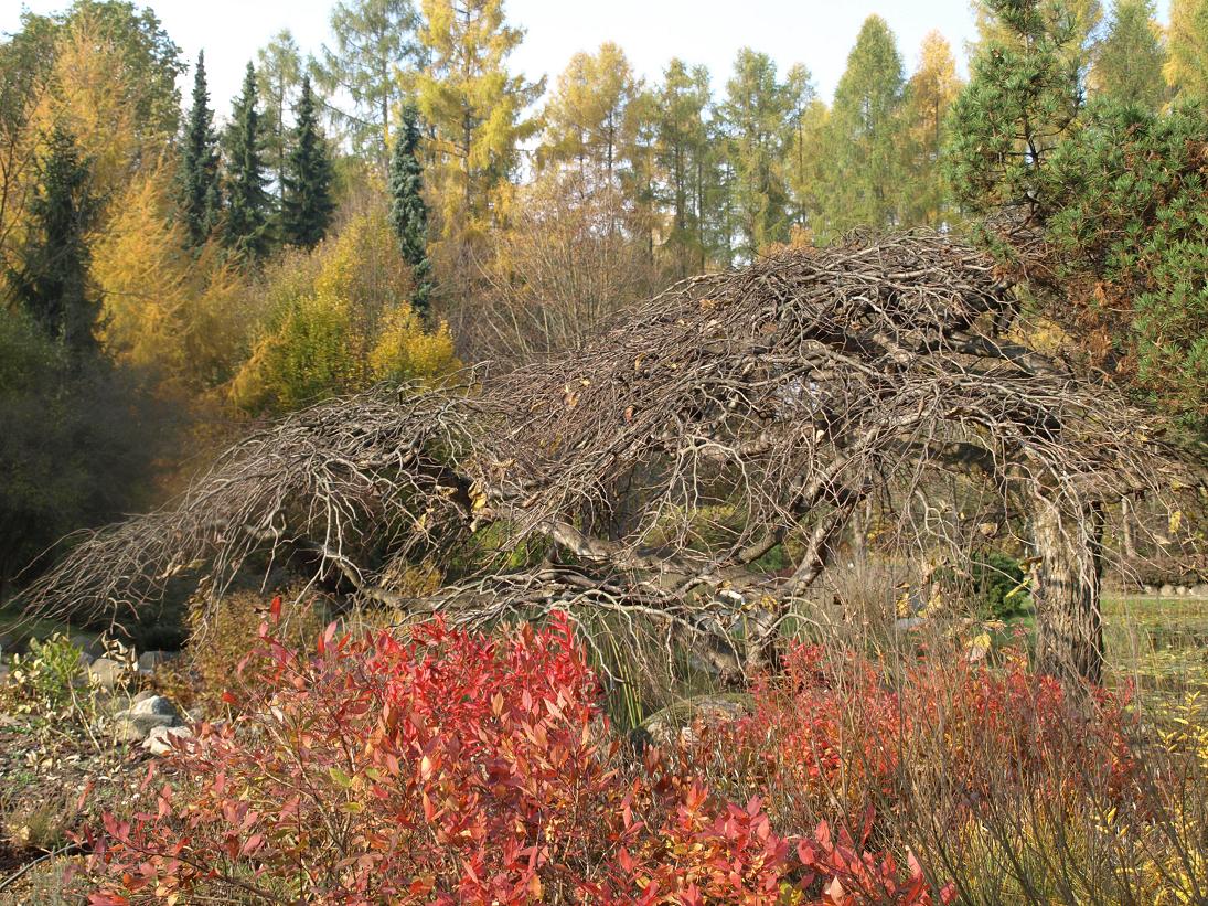 PA304353mini.JPG