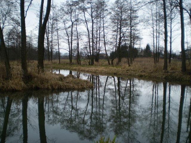 również w Prawiednikach-1.jpg