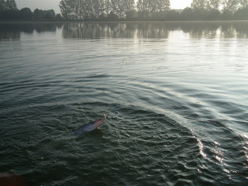 DSCF0018.JPG