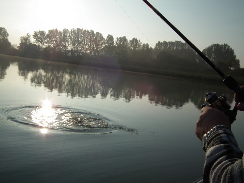 DSCF0014.JPG