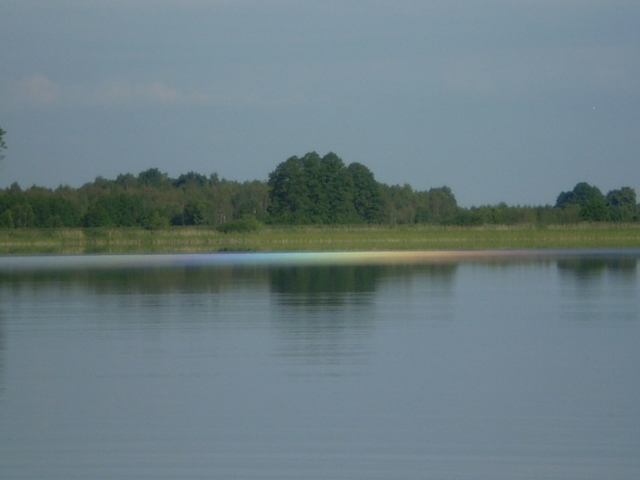 tomaszne we mgle 003.jpg