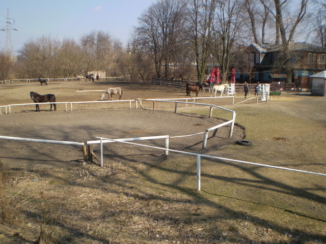 pulpit 005.jpg