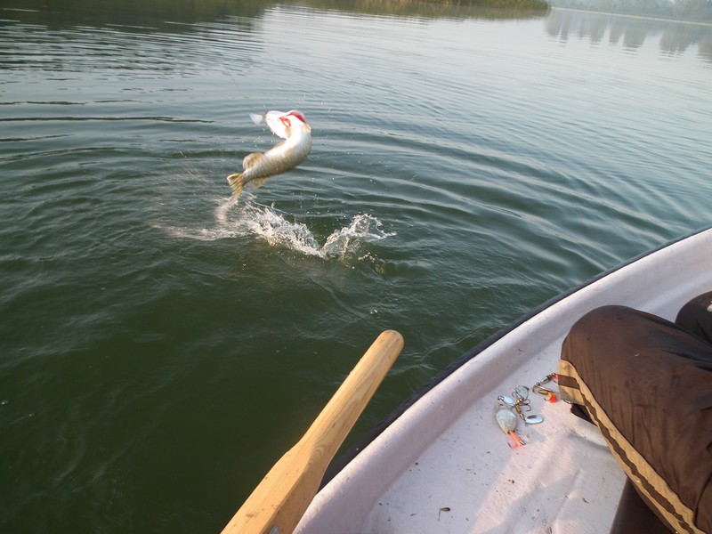 DSCF0009.JPG