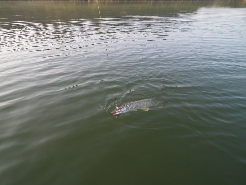 DSCF0012.JPG