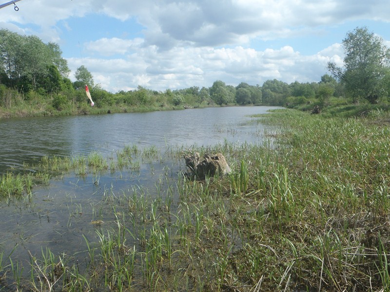 P5160257 [800x600].JPG