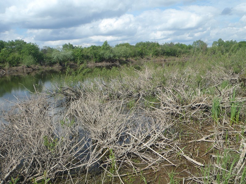 P5160238 [800x600].JPG