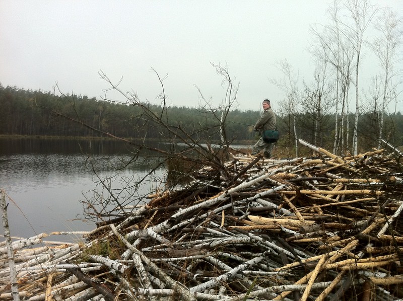 zdjecie 1 [800x600].JPG