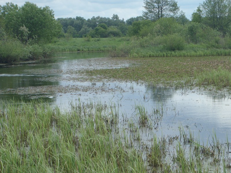 P5160194 [800x600].JPG