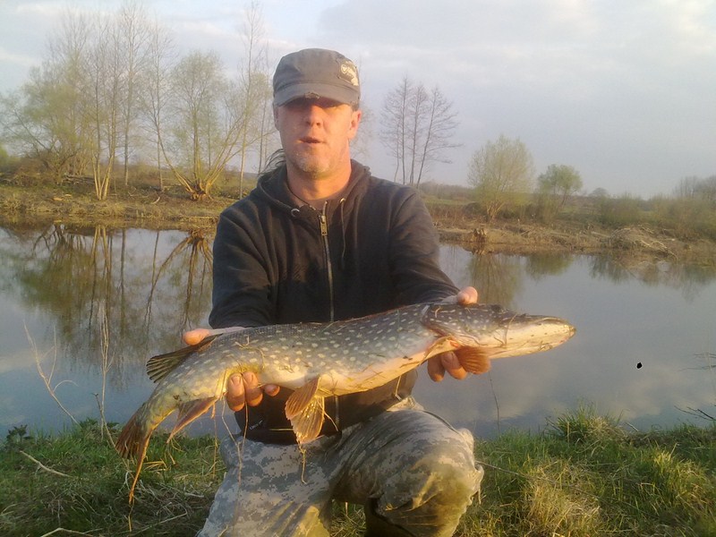 20110423191 [800x600].jpg