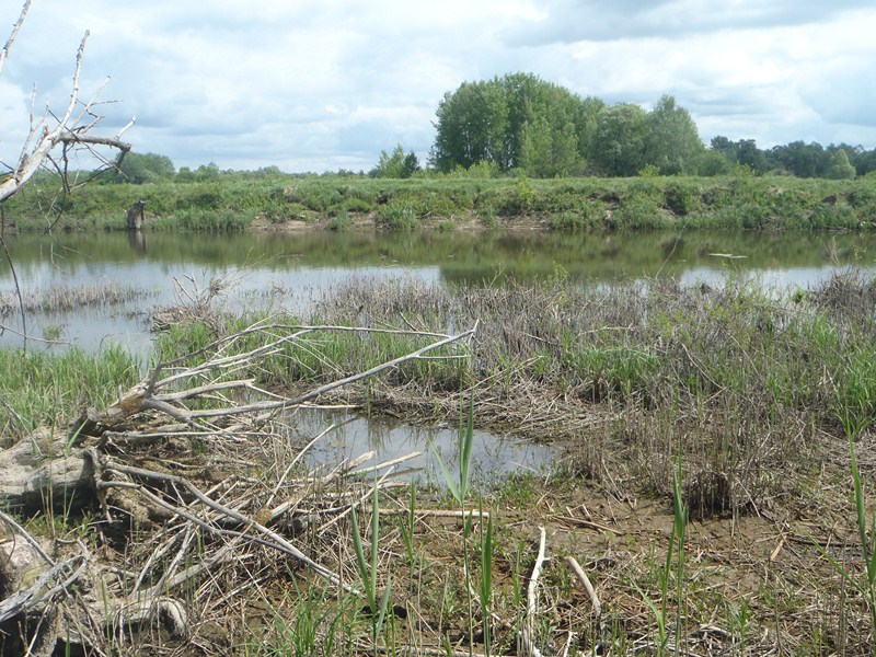 P5160216 [800x600].JPG