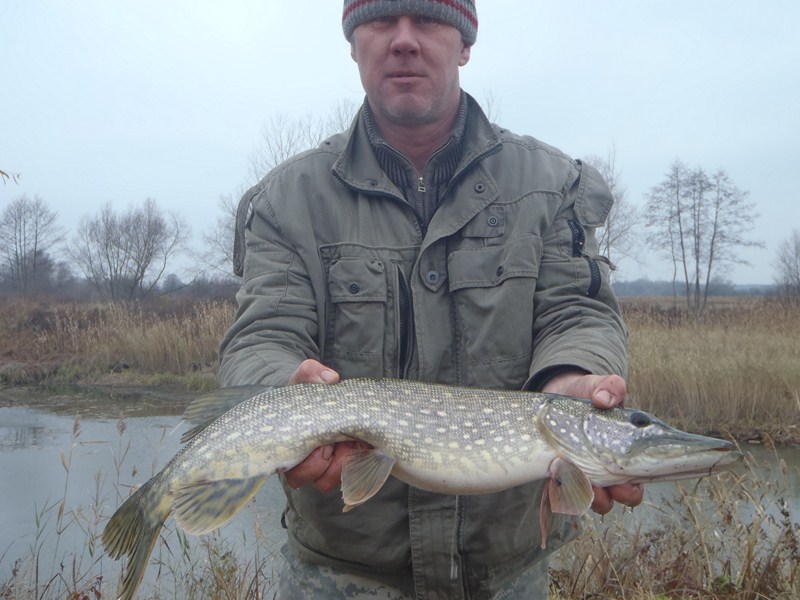 PB060480 [800x600].JPG