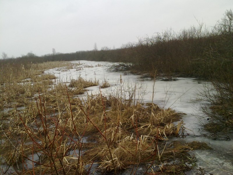 20110207121 [800x600].jpg