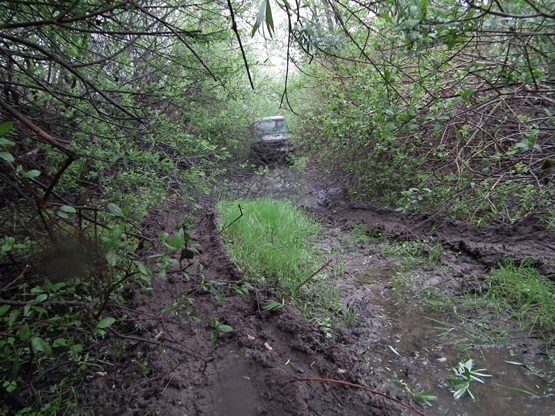 DSCF3167 [800x600].JPG