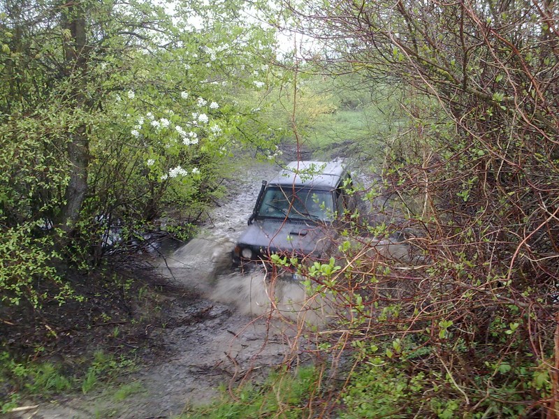 20110501212 [800x600].jpg