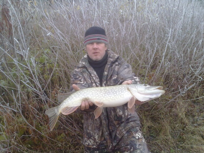 20111112360 [800x600].jpg