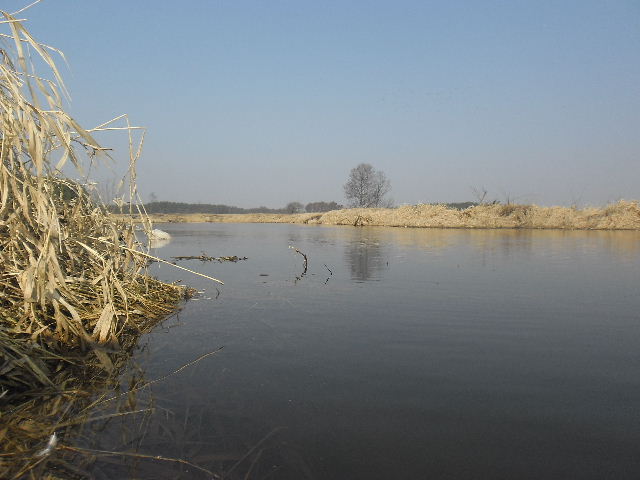 Obraz 852.jpg