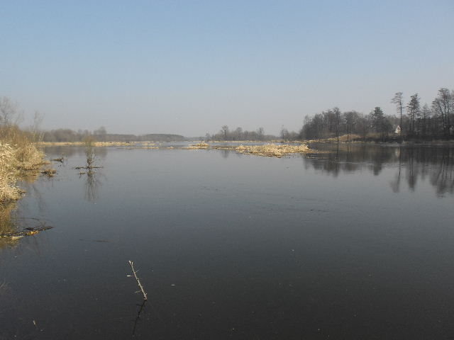 Obraz 845.jpg