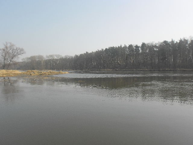Obraz 854.jpg