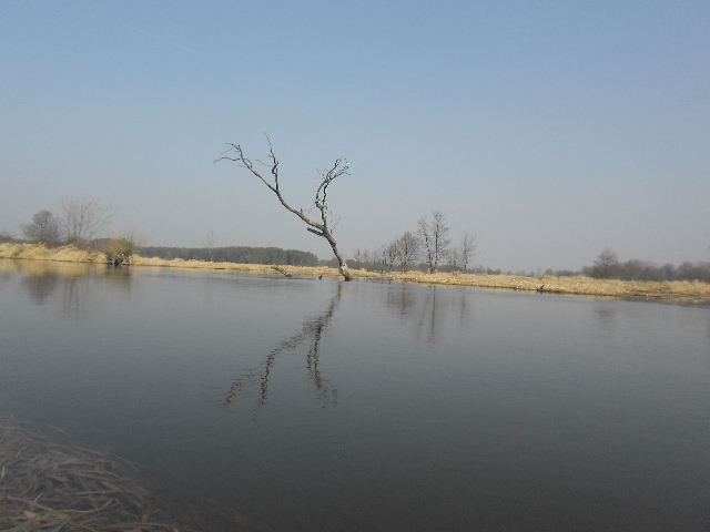 Obraz 853.jpg