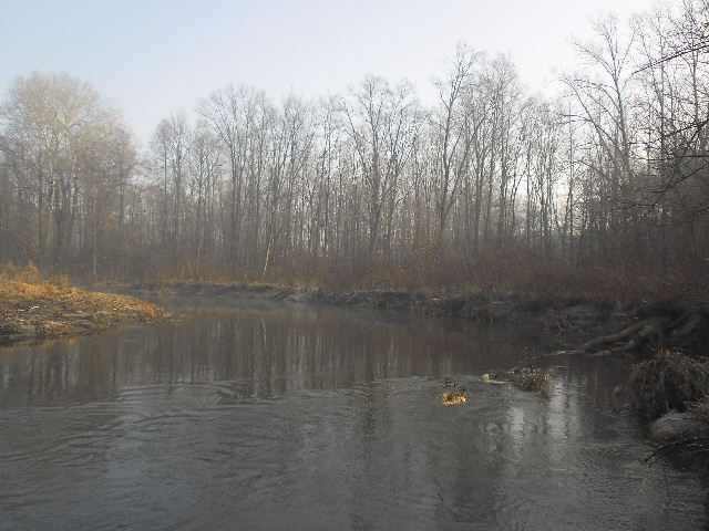 Obraz 842.jpg
