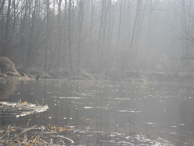 Obraz 844.jpg