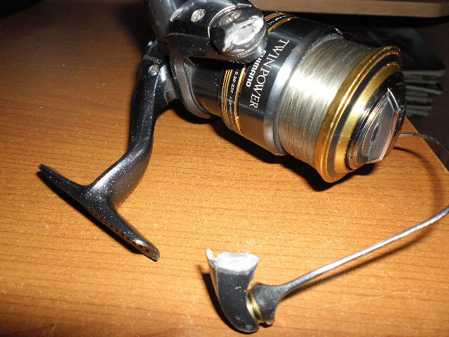 Obraz 719.jpg