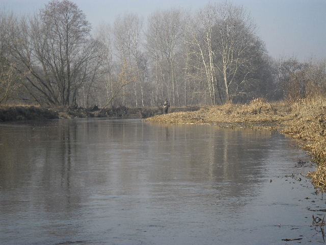 Obraz 843.jpg