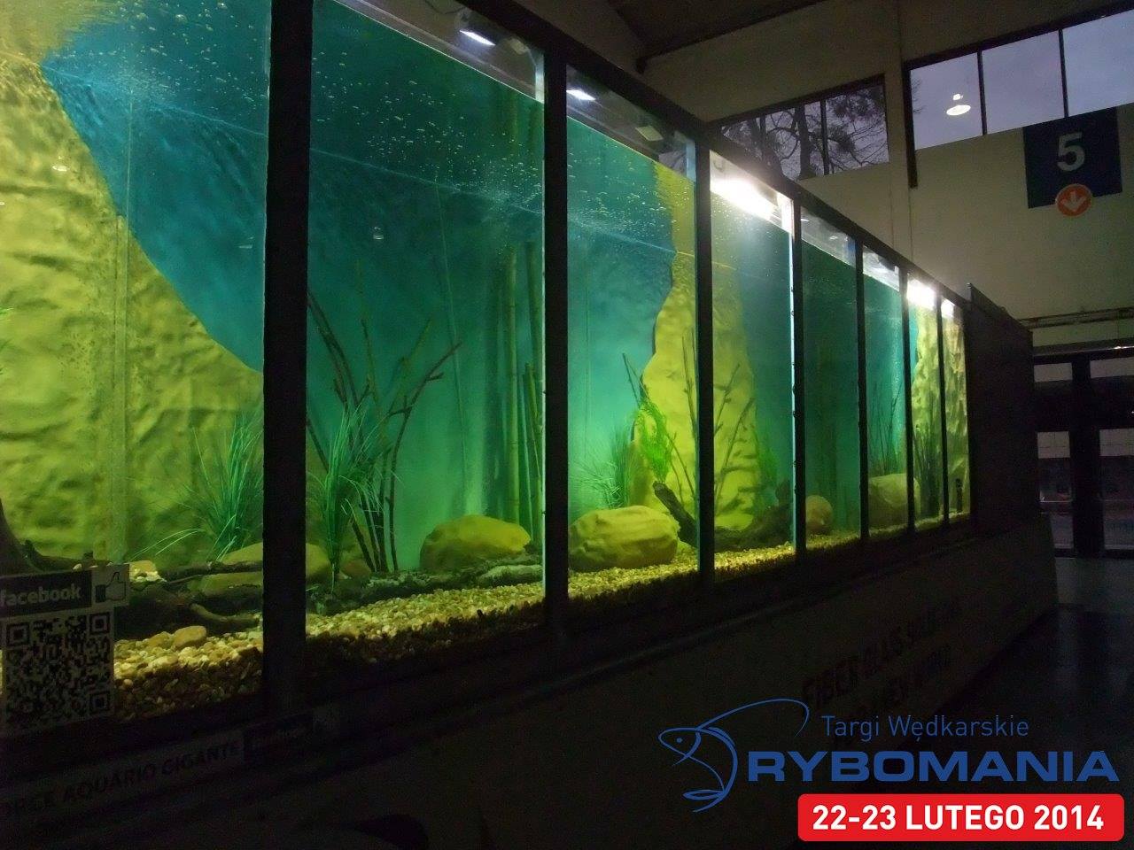rybomania akwarium.jpg