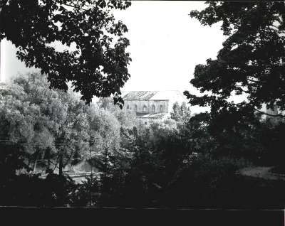 81.jpg