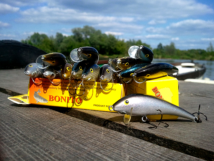 bonito_sandacz.jpg
