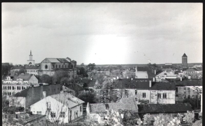 95.jpg