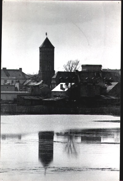 79.jpg
