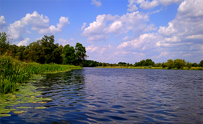 narew1.jpg