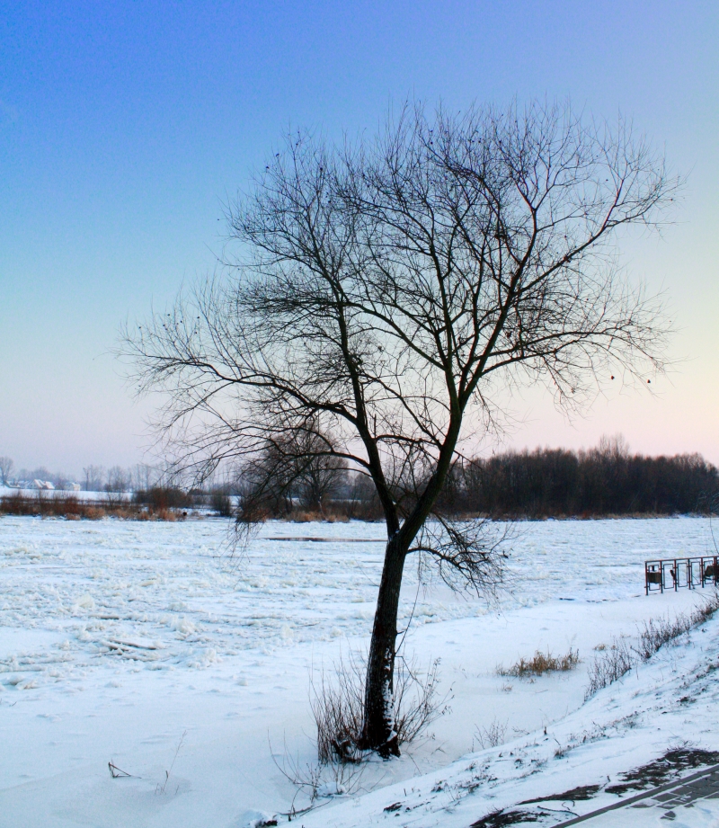 narew.pultusk.zima.2.jpg