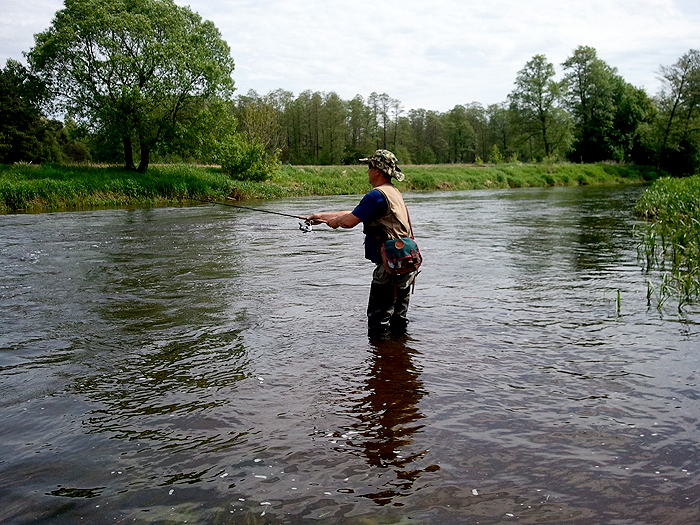 szoszon w wodzie.jpg