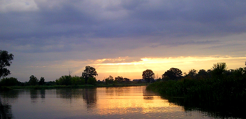 narew_rano.jpg