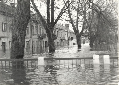 67.jpg