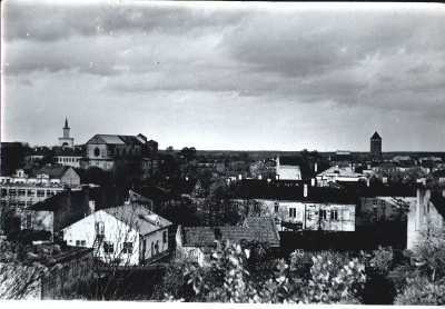 90.jpg