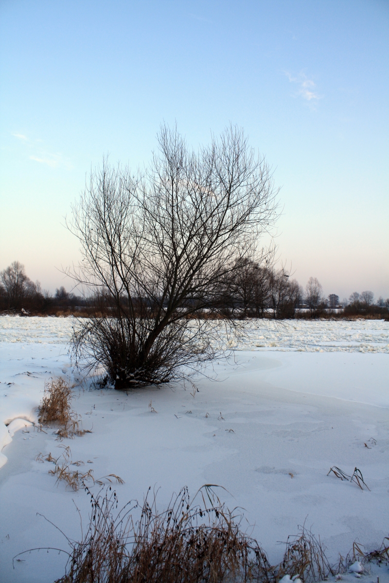 narew.pultusk.zima.5.jpg