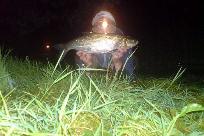 bolek_narew.jpg