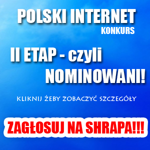 polski_internet_glosowanie_2.jpg