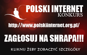 polski_internet_glosowanie.jpg