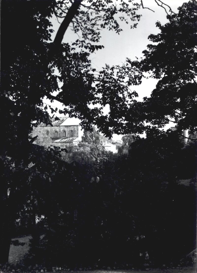 77.jpg